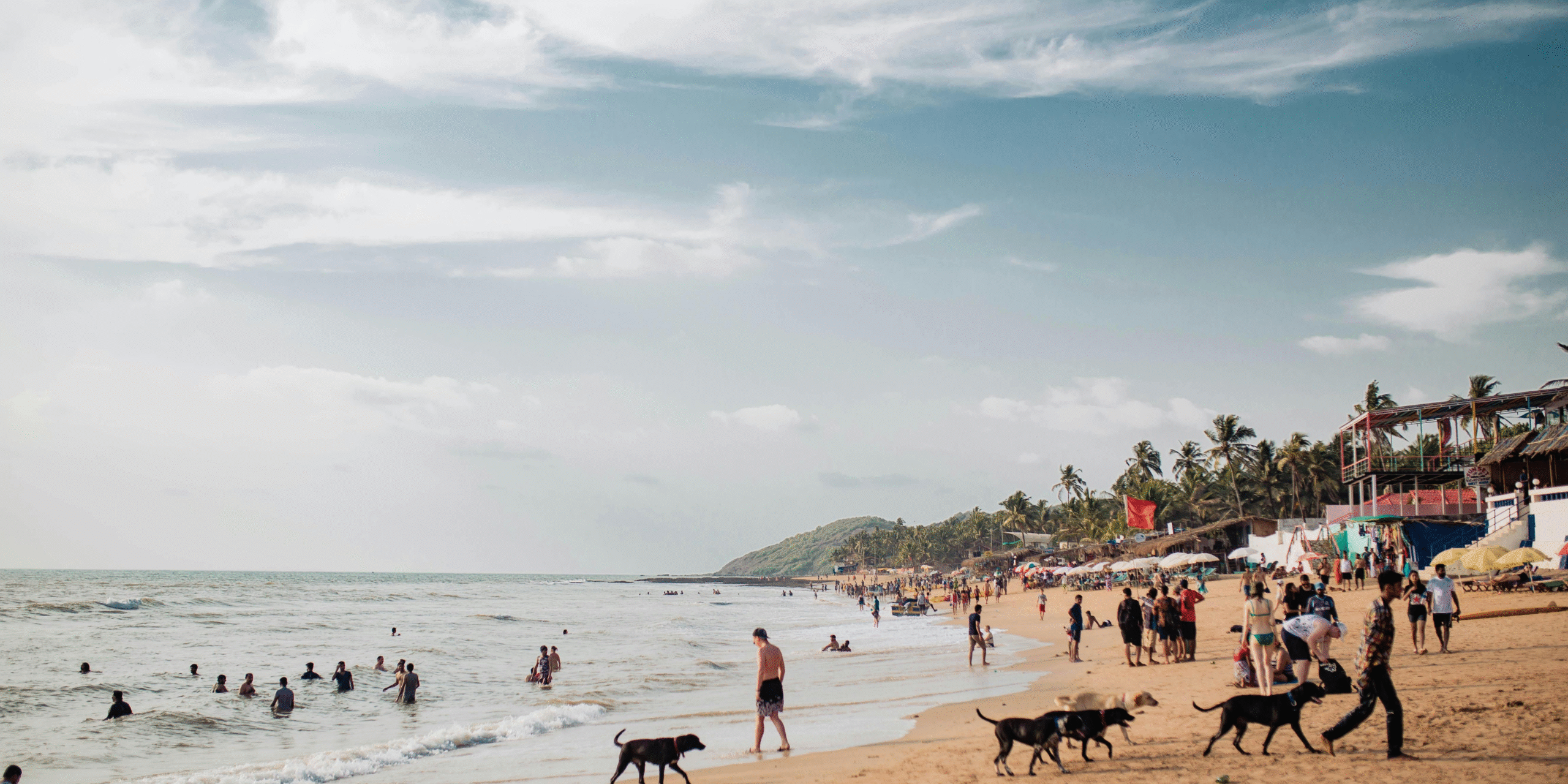 Lorem Ipsum is simply dummy text of the printing and typesetting industry. Lorem Ipsum has been the industry's standard dummy text ever since the 